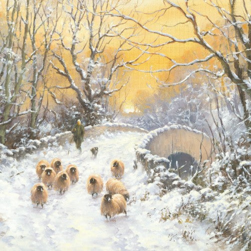 Winter Sheep   NT4