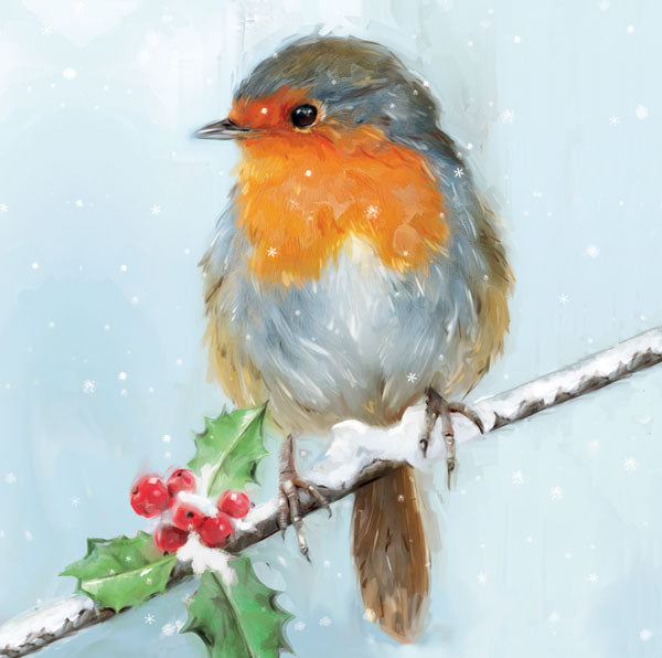 Wintry Robin